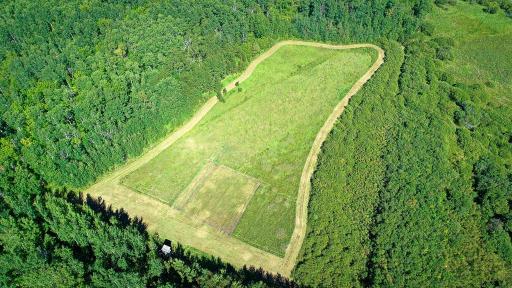 Aerial/Deer stand