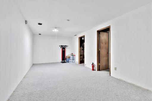 Lower Level Family Room