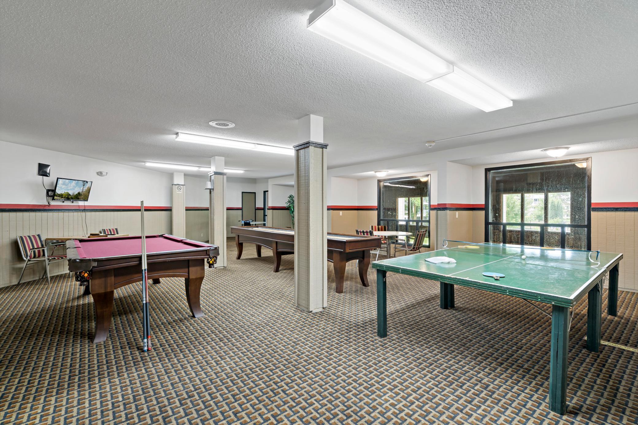 Adult Game Room