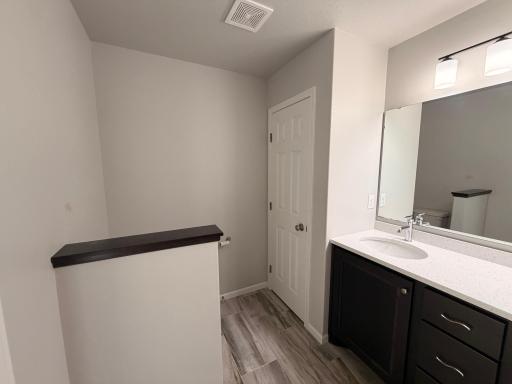 17. Primary bath 2.jpeg