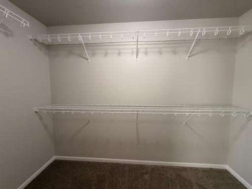 18. Primary Closet.jpeg