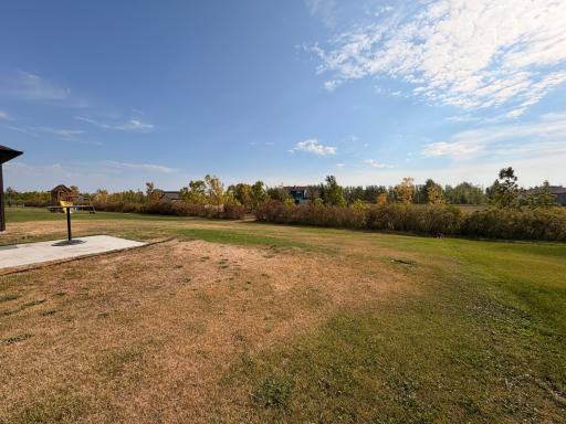 5. Back Yard.jpeg
