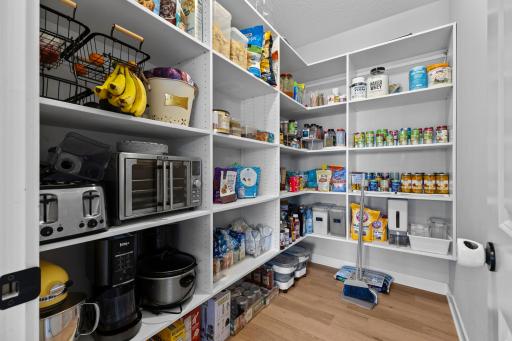 10166 Shadyview Lane N, Maple Grove, MN 55311