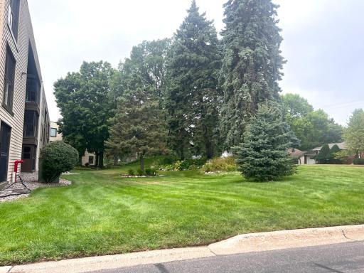More of the grounds