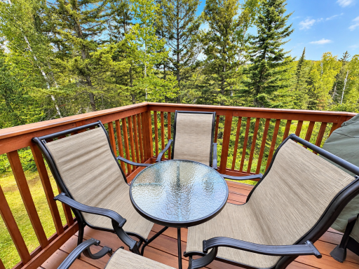 Deck view - Moose Access Ski Run behind trees.png