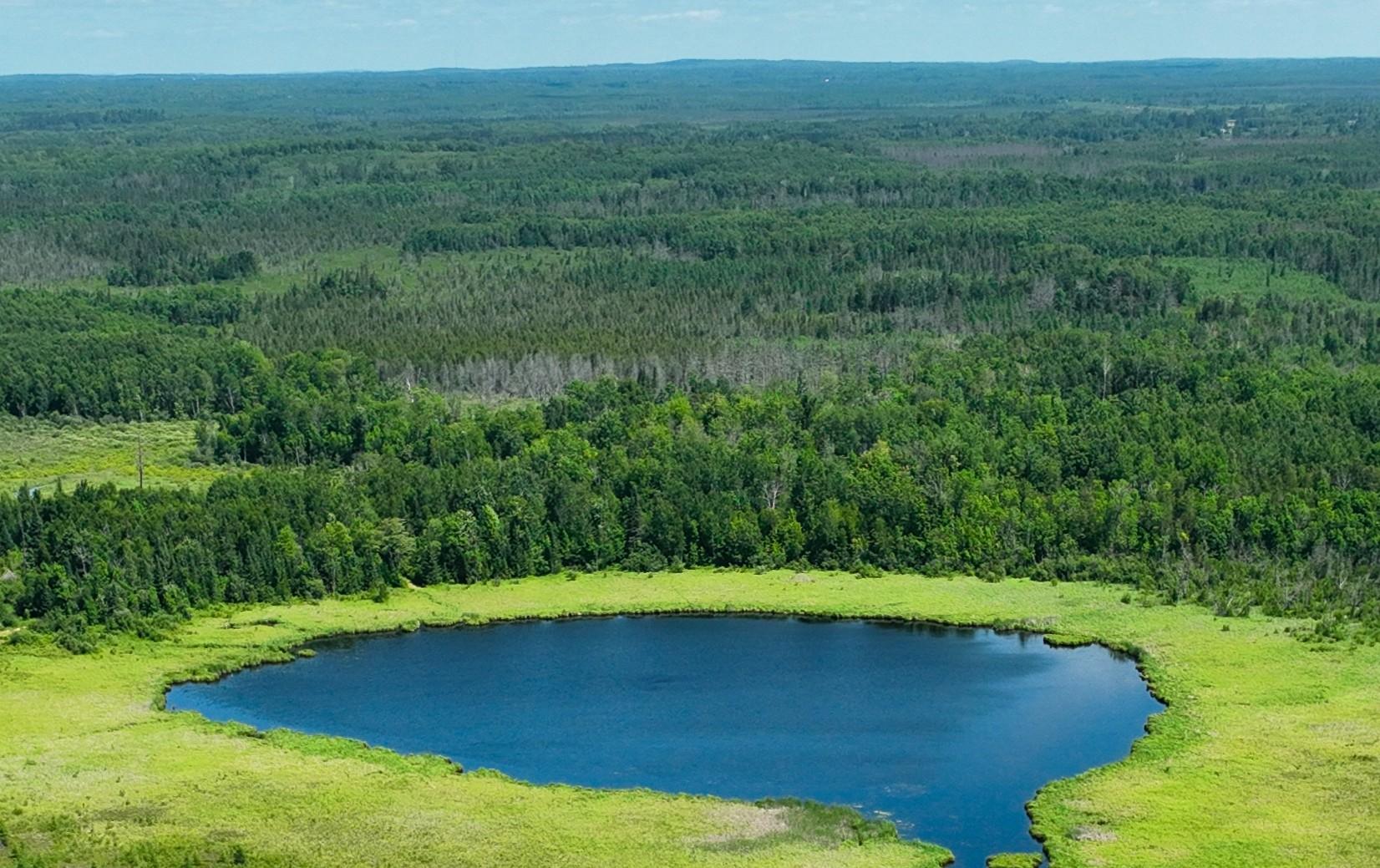 DJI_0209b.jpg