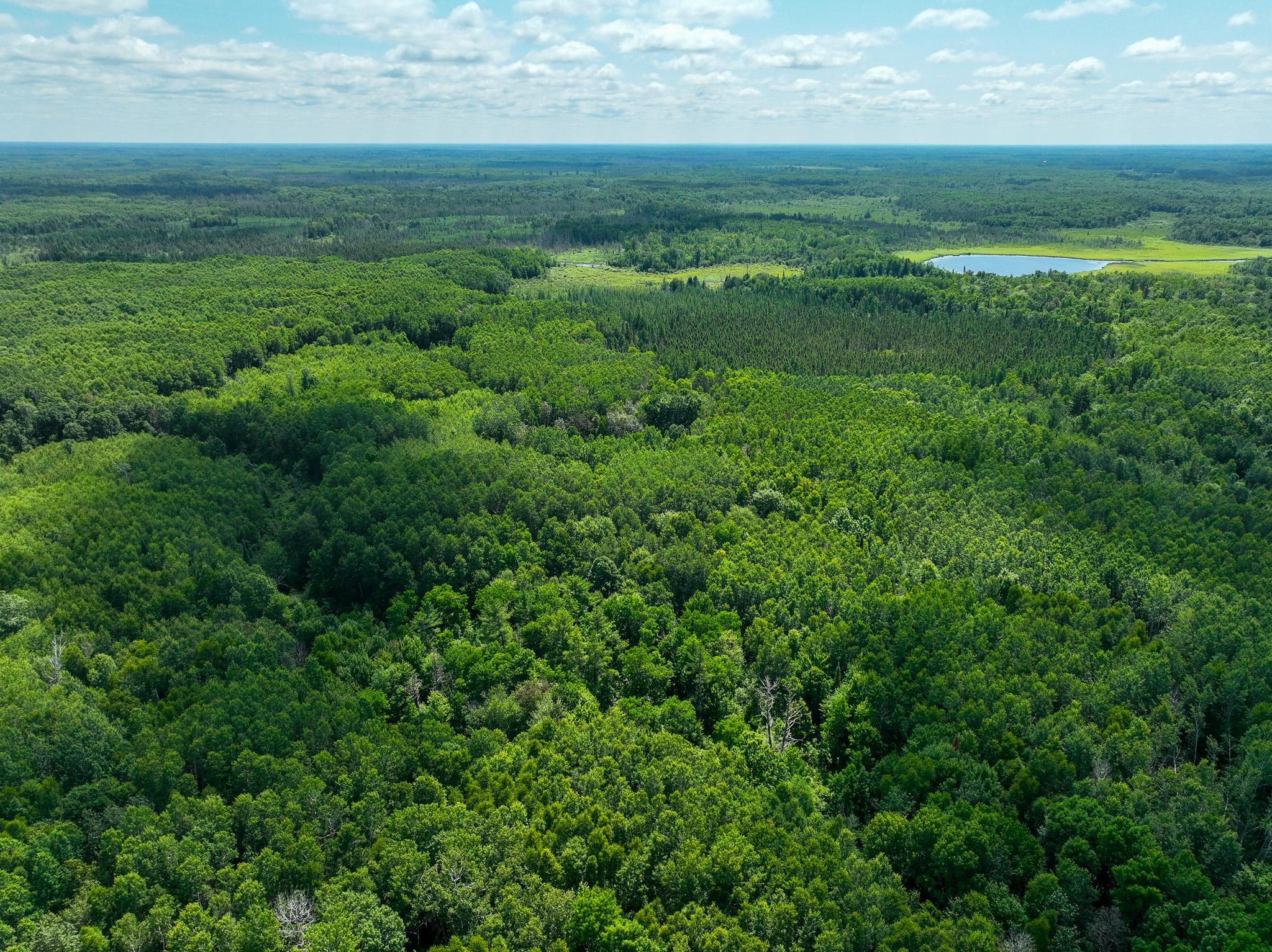 Property photo for TBD Sago 5, Swan River, MN 55784