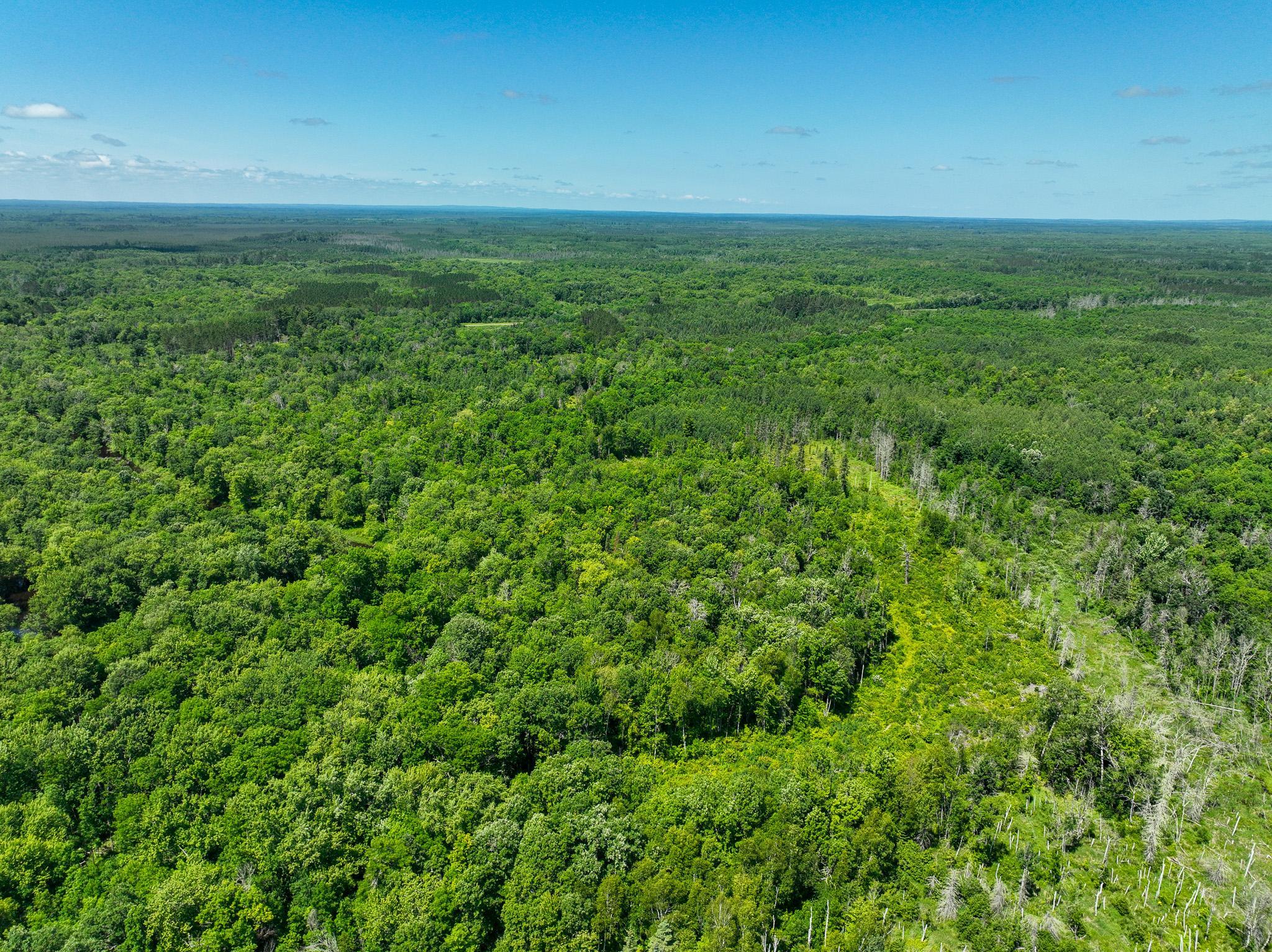 DJI_0211.jpg