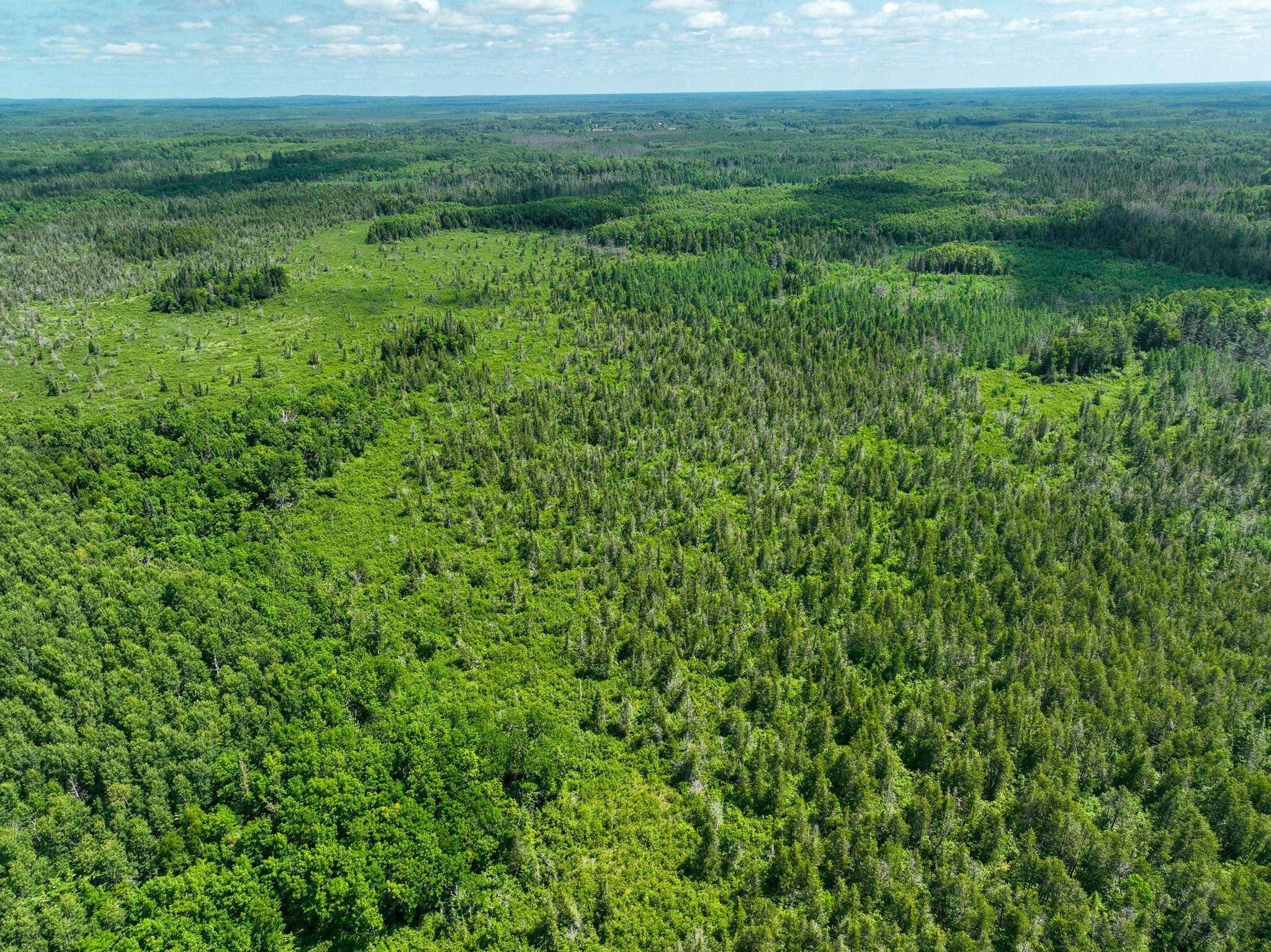 DJI_0191.jpg