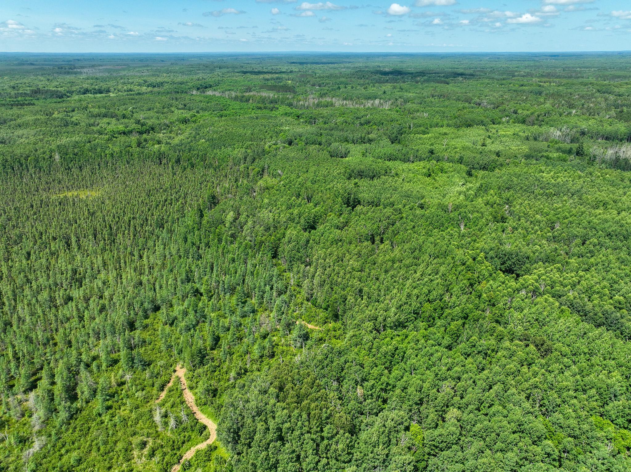 DJI_0189.jpg