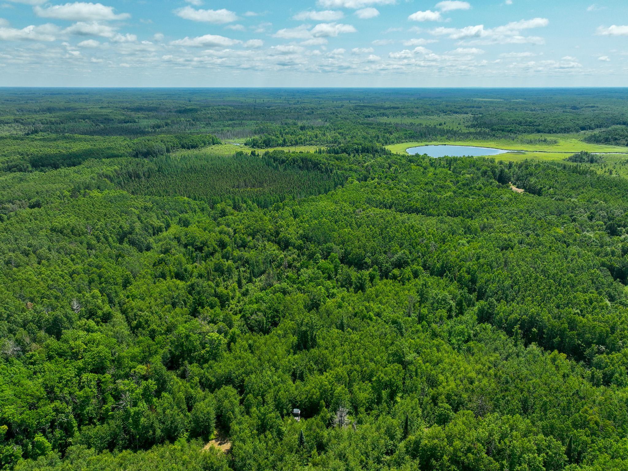 DJI_0179.jpg