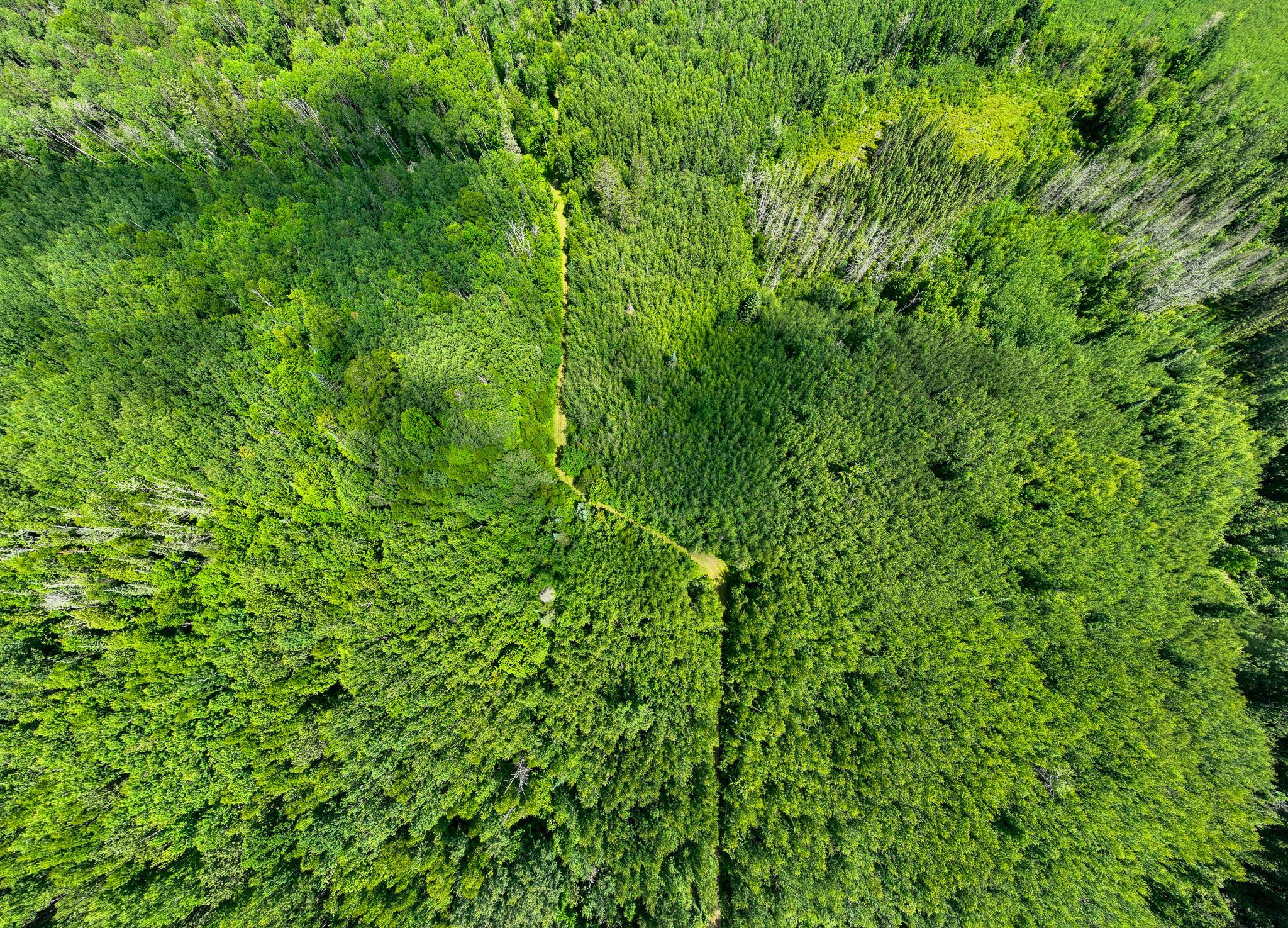 DJI_0171.jpg