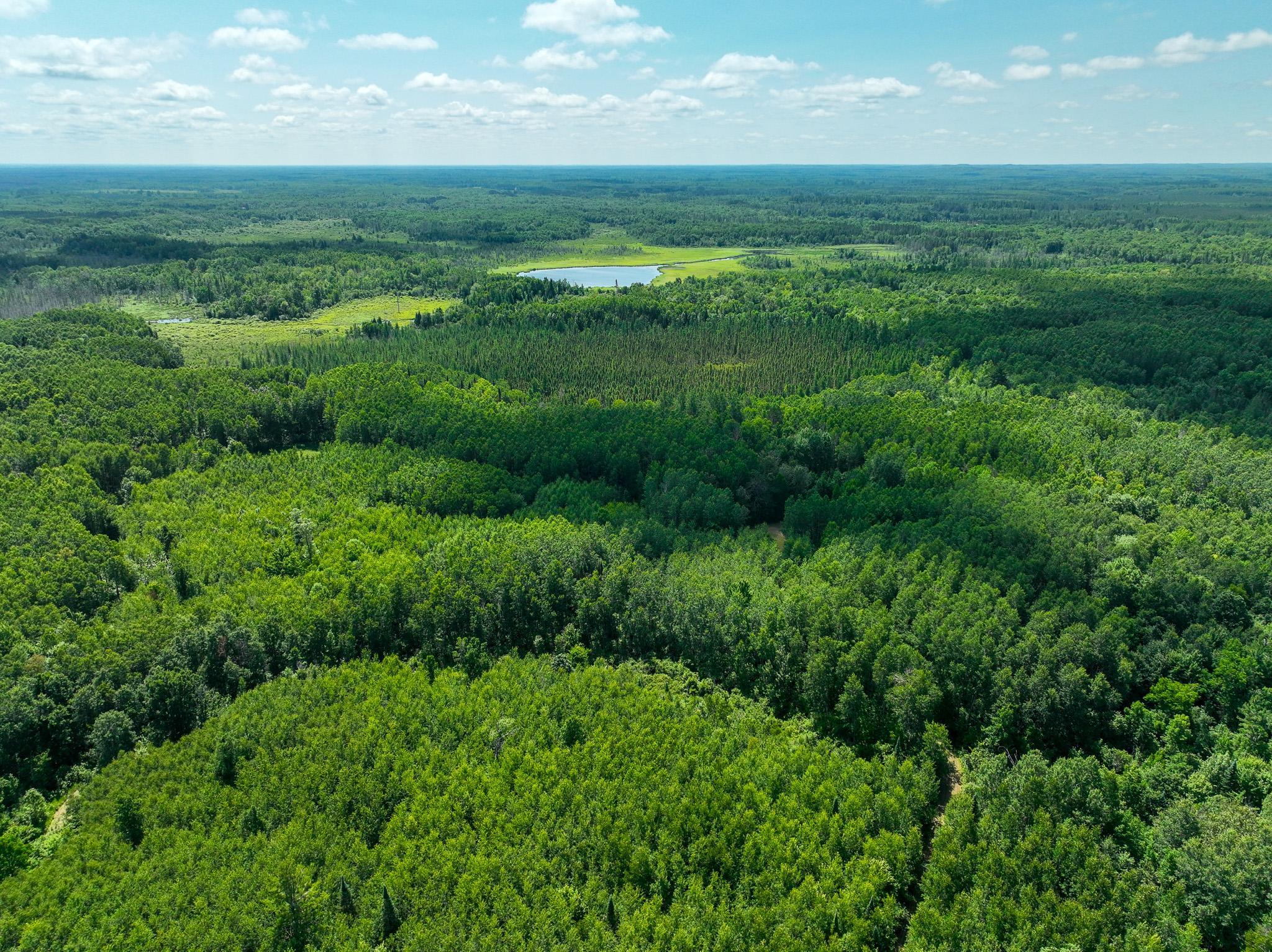 DJI_0166.jpg