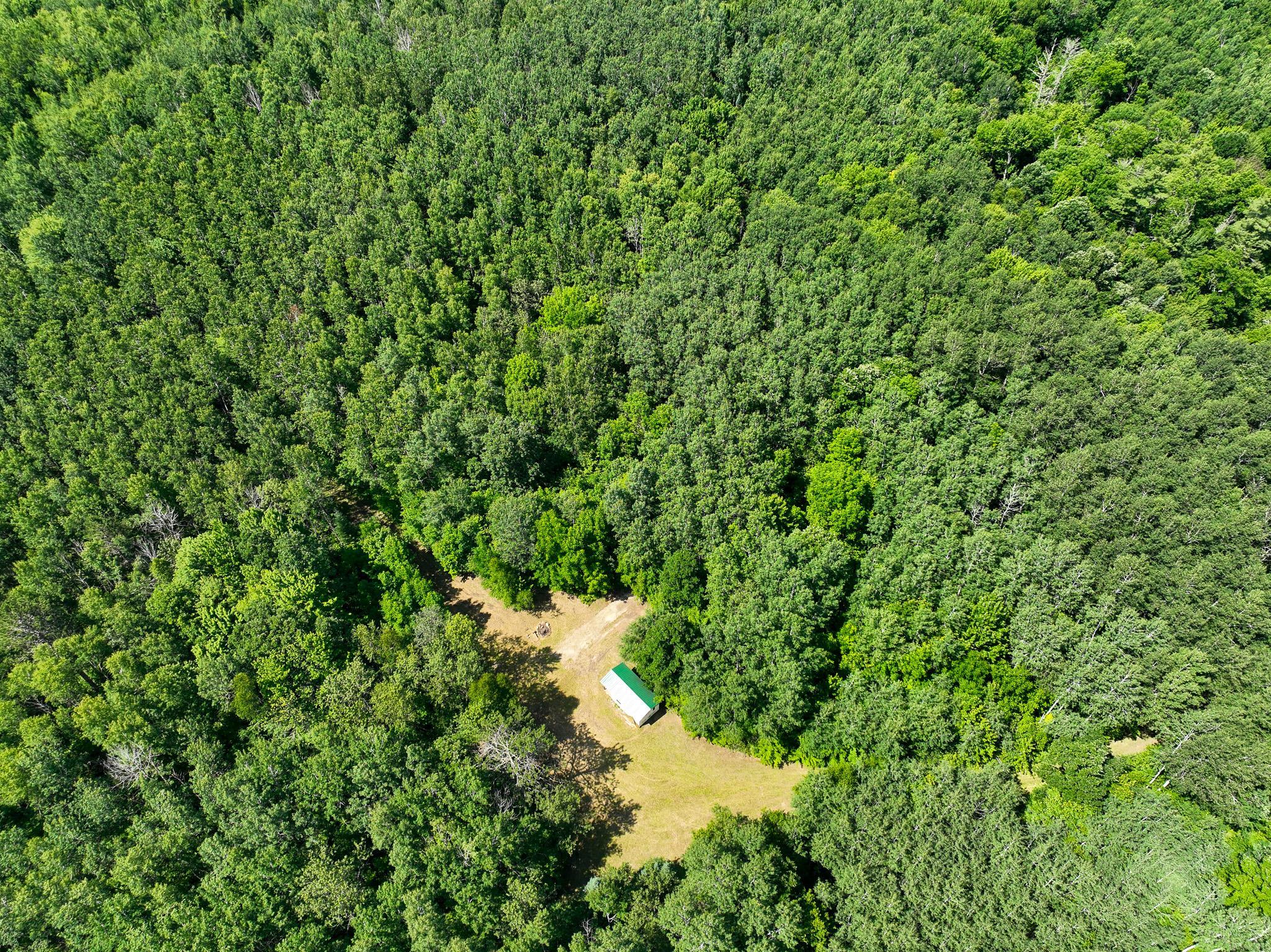 DJI_0162.jpg