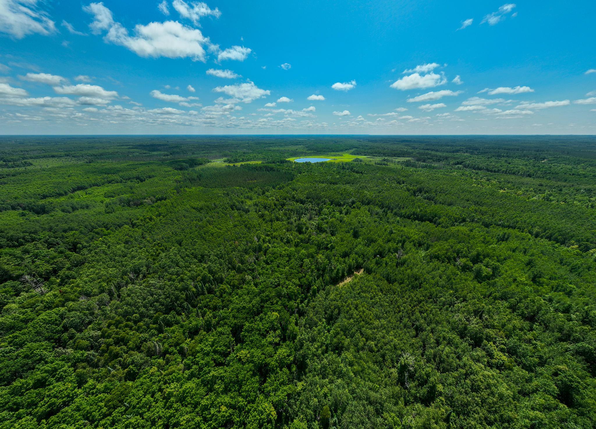 DJI_0177.jpg