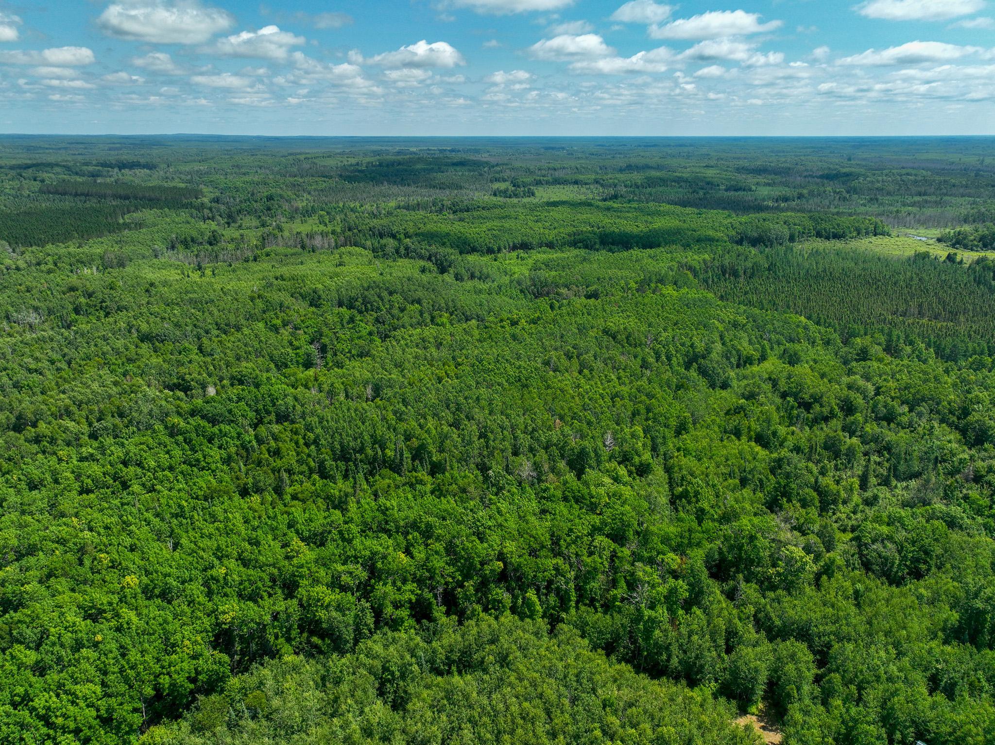 DJI_0181.jpg