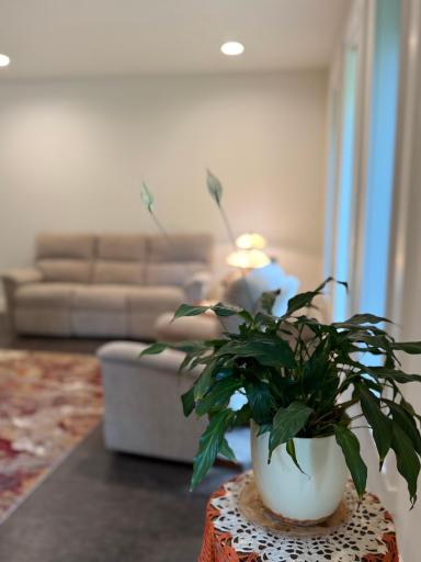 Cozy Spaces