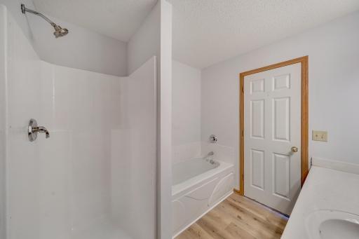 Features a separate shower and tub with plenty of counter space.