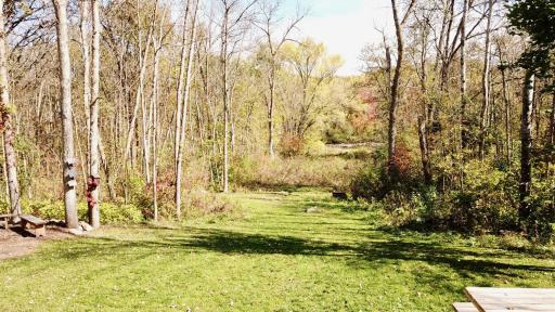 Large backyard surrounded by mature trees
