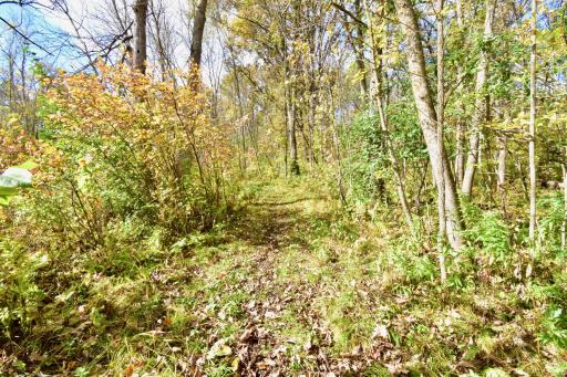 26622 Riverview Drive, Mora, MN 55051