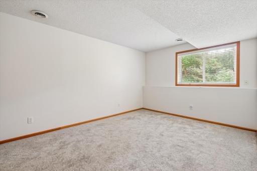 13048 Falcons Way, Savage, MN 55378