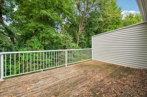 13048 Falcons Way, Savage, MN 55378