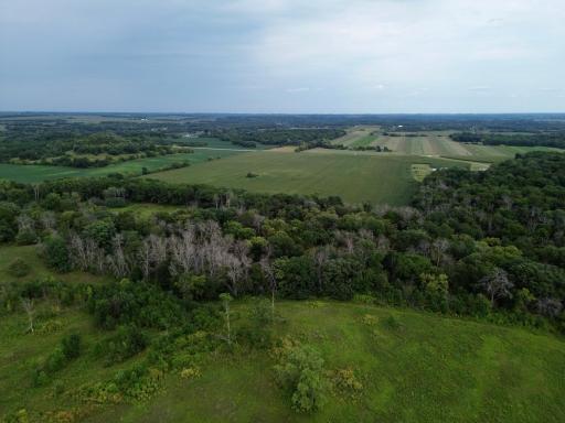 dji_fly_20260820_152432_230_1787257813916_photo.jpg