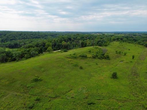 dji_fly_20260820_153110_244_1787257786126_photo.jpg