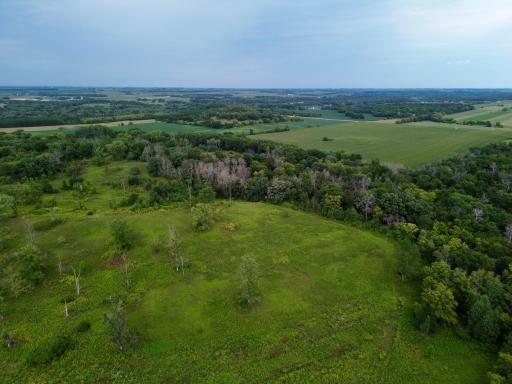 dji_fly_20260820_152258_225_1787257817483_photo.jpg