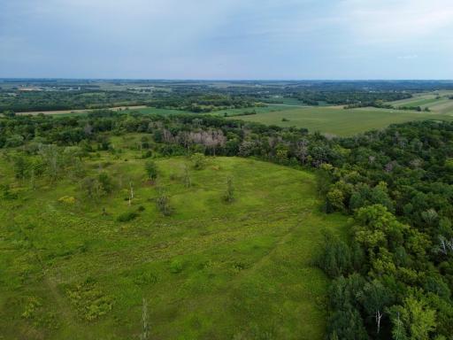 dji_fly_20260820_152244_224_1787257818225_photo.jpg