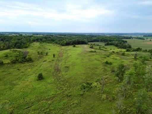 dji_fly_20260820_153054_242_1787257787642_photo.jpg