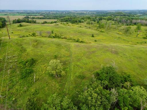 dji_fly_20260820_152056_220_1787257821279_photo (1).jpg