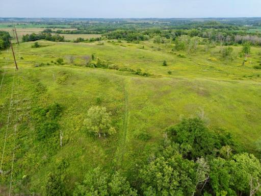 dji_fly_20260820_152056_220_1787257821279_photo.jpg
