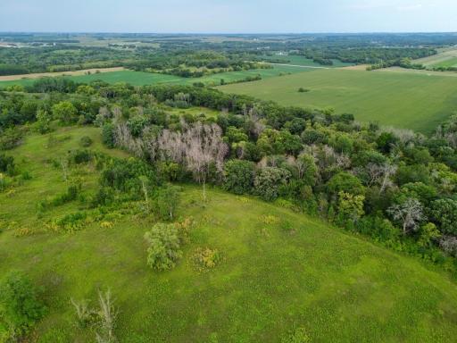 dji_fly_20260820_152340_228_1787257815350_photo.jpg