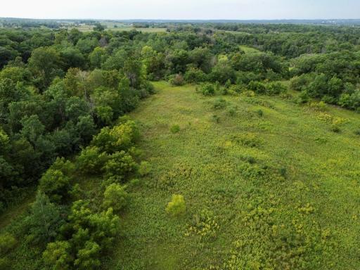 dji_fly_20260820_152556_234_1787257811081_photo.jpg
