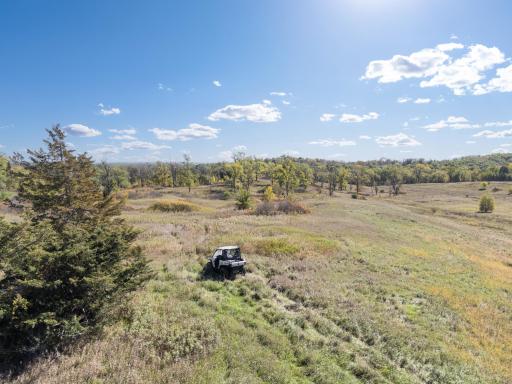 10918 New Haven Road NW, Pine Island, MN 55963