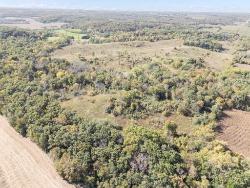 10918 New Haven Road NW, Pine Island, MN 55963