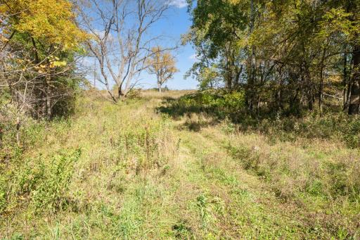 10918 New Haven Road NW, Pine Island, MN 55963