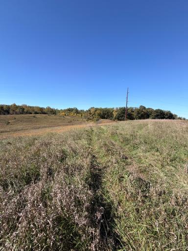 10918 New Haven Road NW, Pine Island, MN 55963