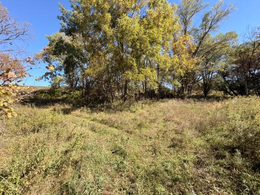 10918 New Haven Road NW, Pine Island, MN 55963