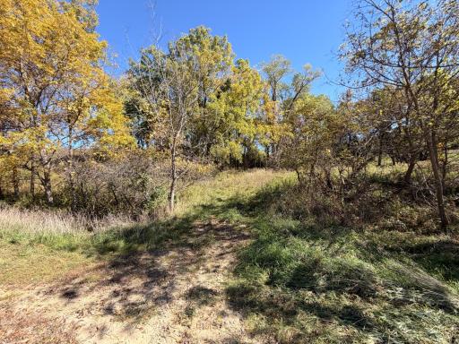 10918 New Haven Road NW, Pine Island, MN 55963