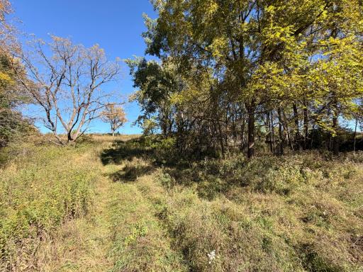 10918 New Haven Road NW, Pine Island, MN 55963
