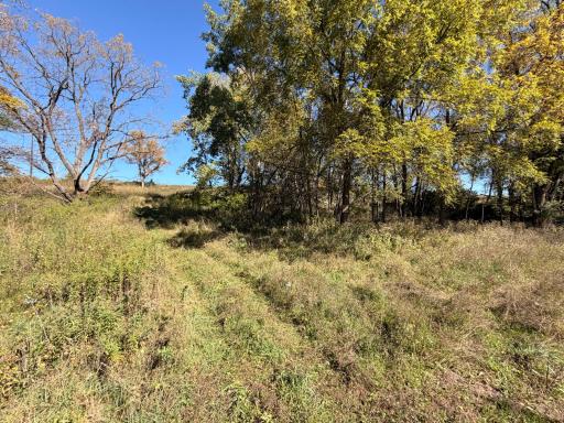 10918 New Haven Road NW, Pine Island, MN 55963