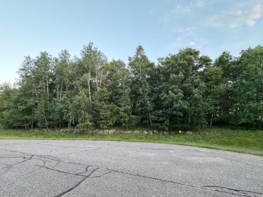 TBD 97th Street NW, Zimmerman, MN 55398