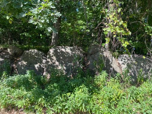 TBD 97th Street NW, Zimmerman, MN 55398
