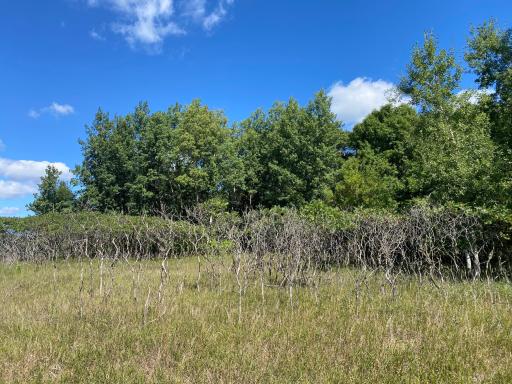 TBD 97th Street NW, Zimmerman, MN 55398