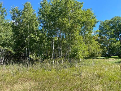 TBD 97th Street NW, Zimmerman, MN 55398