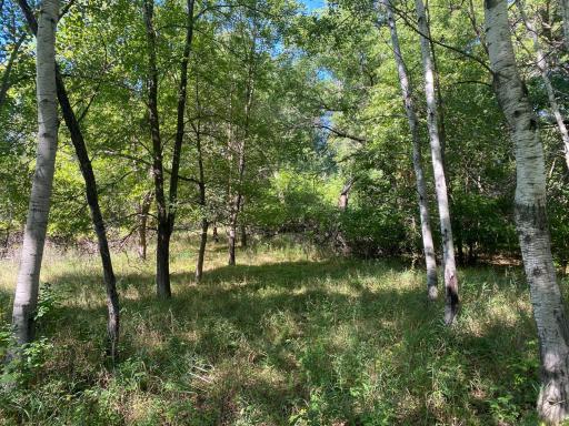 TBD 97th Street NW, Zimmerman, MN 55398