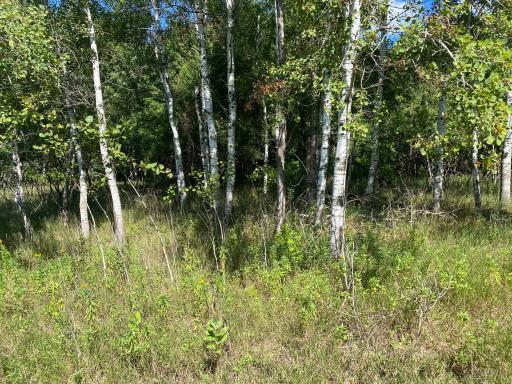 TBD 97th Street NW, Zimmerman, MN 55398