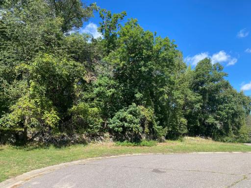 TBD 97th Street NW, Zimmerman, MN 55398